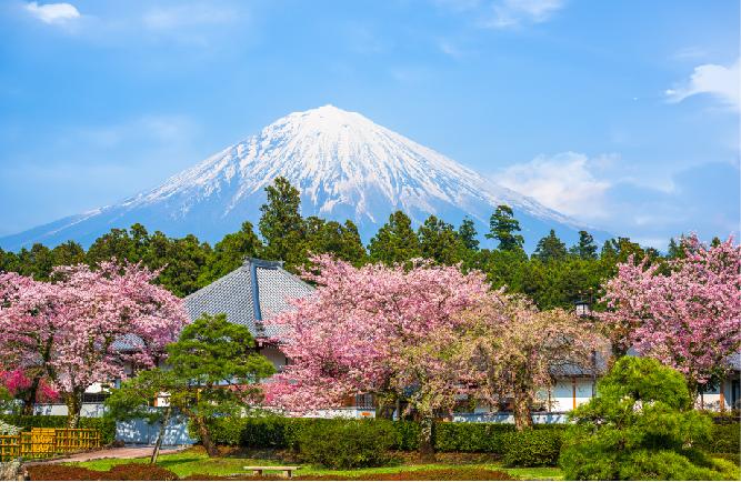 Bahasa Jepang & Persiapan Tes JLPT - N5 (Tingkat Pertama) Bahasa Jepang & Persiapan Tes JLPT - N5 (Tingkat Pertama)
